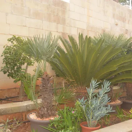 Lyss 1 Mellieħa