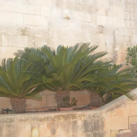 Lyss 1 * Mellieħa