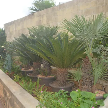 Διαμέρισμα Lyss 1 Mellieħa