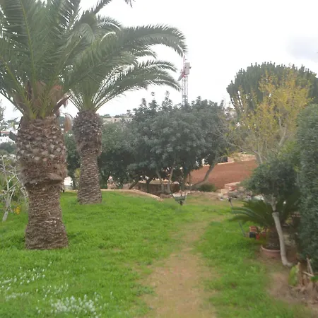Lyss 1 * מליאהה