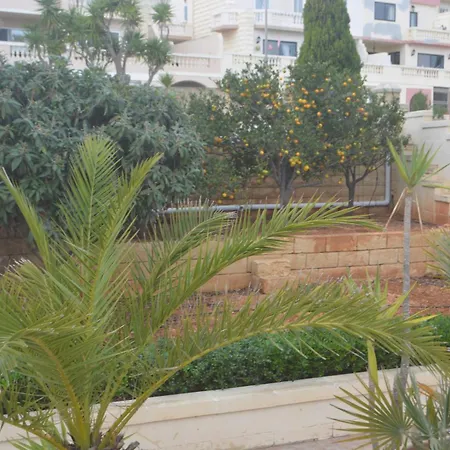 Lyss 1 מליאהה